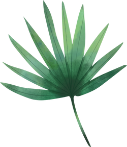 Watercolor Leaf Object